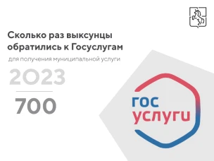 Порядка 700 заявлений на получение муниципальной услуги выксунцы подали через "Госуслуги"